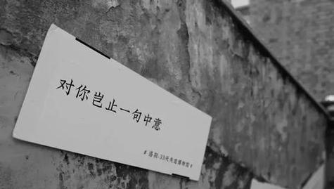 还想挽回（15个简短的文案句子）-第1张图片-爱昵情感