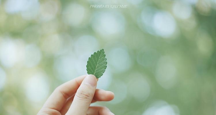 四招挽回前任必定逃不了（如何用正确的方式挽回爱情）-第2张图片-爱昵情感