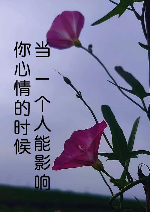 为什么你不被人喜欢（探索不受欢迎的四个原因）-第2张图片-爱昵情感