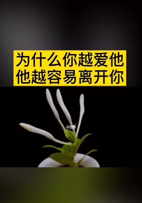 异地分手后该如何挽回（15个步骤教你重新争取爱情）-第1张图片-爱昵情感