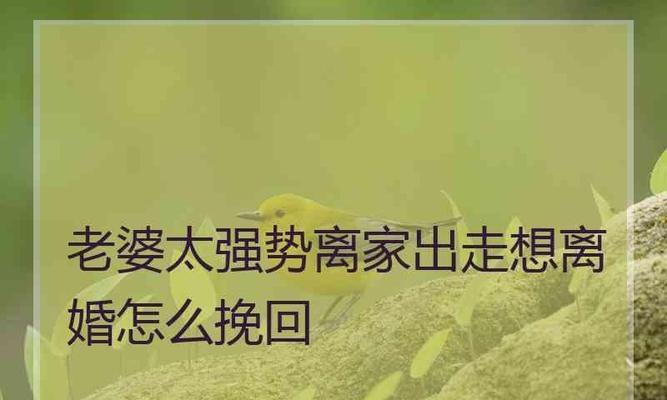 挽回死心的老婆，教你如何重修旧好（15个行之有效的技巧）-第1张图片-爱昵情感