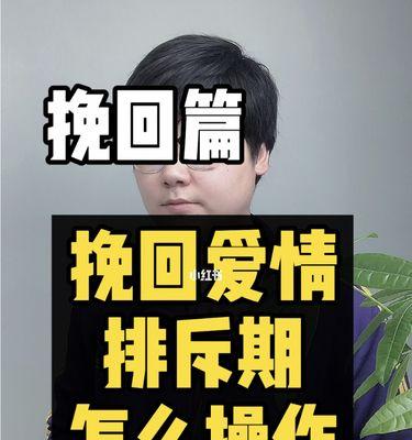 挽回被删除的爱情（分手后如何重燃爱火）-第1张图片-爱昵情感