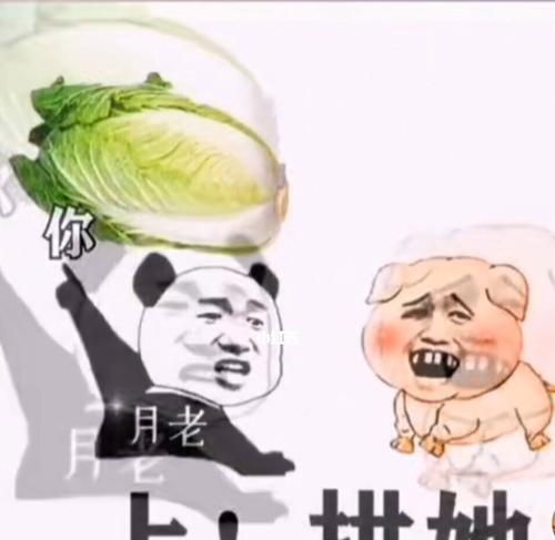 年前如何告别单身狗？10个实用手段助你成功脱单？-第1张图片-爱昵情感