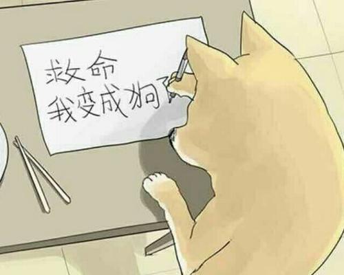 年前如何告别单身狗？10个实用手段助你成功脱单？-第3张图片-爱昵情感