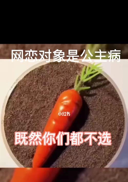 网恋对象不回消息怎么办？如何有效追回网恋对象？-第3张图片-爱昵情感