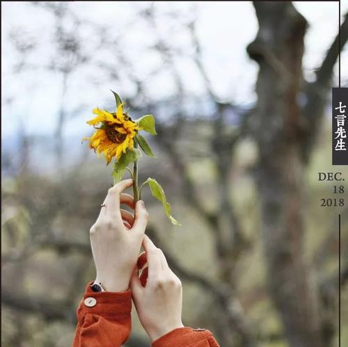 不知道该不该继续下去珍爱彼此？如何判断感情是否值得坚持？-第1张图片-爱昵情感