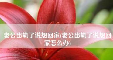吵架后老公出轨怎么办？如何处理婚姻中的信任危机？-第2张图片-爱昵情感