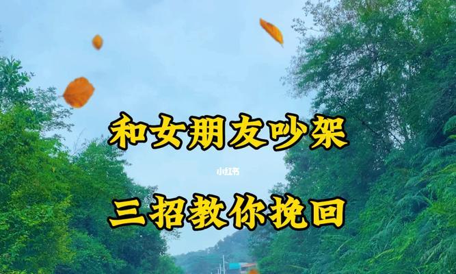 吵架后如何用正确的话术挽回女朋友？挽回前女友的有效方法是什么？-第1张图片-爱昵情感