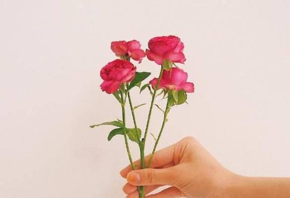 欲擒故纵如何让男人对你念念不忘？有效策略是什么？-第1张图片-爱昵情感