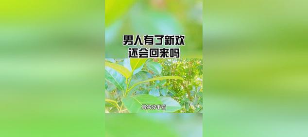分手后男友后悔有新欢想挽回怎么办？有效方法有哪些？-第3张图片-爱昵情感