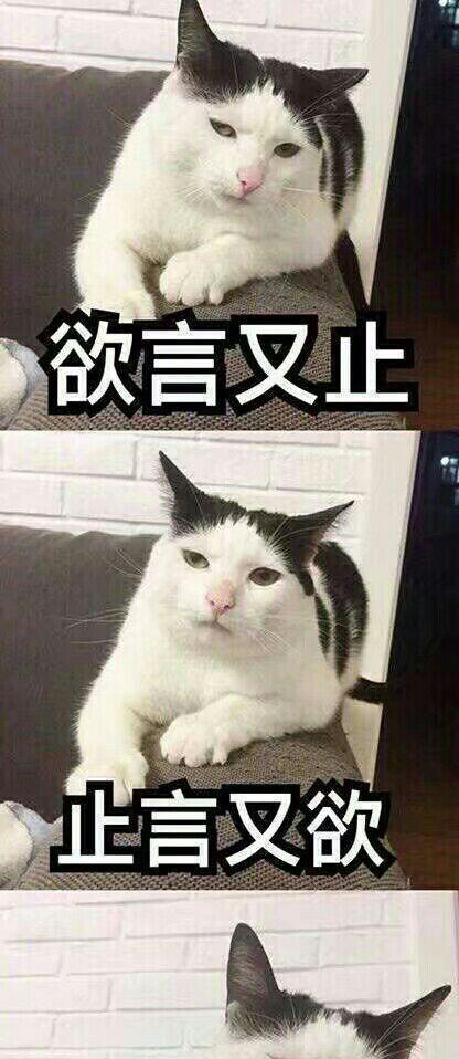 女友提出冷处理关系怎么办？如何有效沟通和解决问题？-第1张图片-爱昵情感