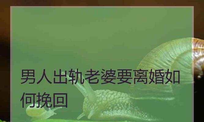 怎么挽回前夫？有效沟通和情感重建的策略是什么？-第1张图片-爱昵情感