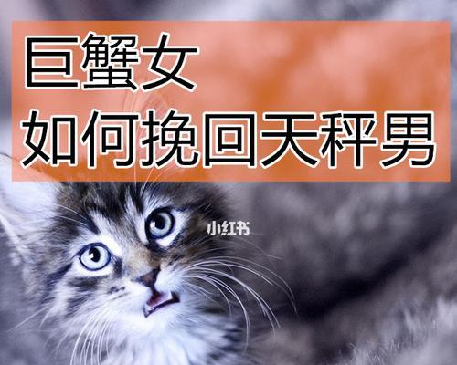巨蟹座女友分手后如何挽回？挽回巨蟹座女友的有效方法是什么？-第3张图片-爱昵情感