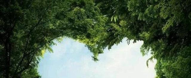 觉得自己不适合谈恋爱是什么心理？如何克服恋爱恐惧？-第1张图片-爱昵情感