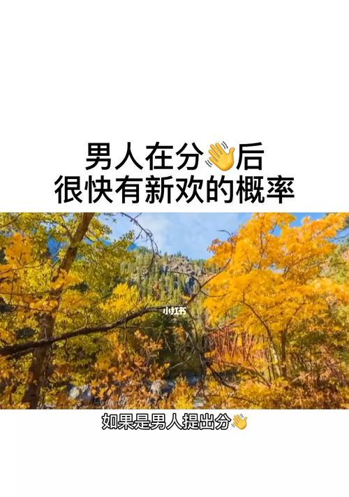 分手后男友迅速有新欢怎么办？如何处理情感失落？-第3张图片-爱昵情感