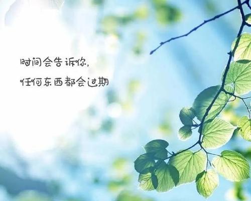 爱情中最深刻的承诺是什么？在一起的意义何在？-第2张图片-爱昵情感