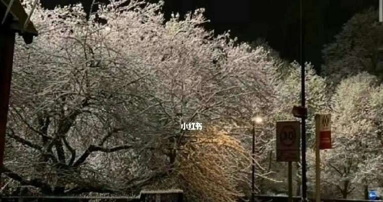 分手后如何识别你还爱着对方的几个细节？-第3张图片-爱昵情感