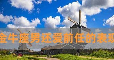 分手后男人还爱你的表现有哪些？如何识别他的真实情感？-第3张图片-爱昵情感