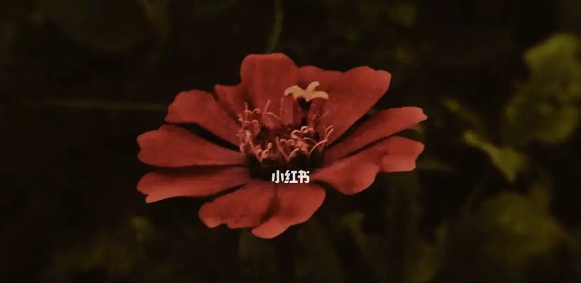 分手后情感恢复需要多久？如何快速走出失恋？-第1张图片-爱昵情感