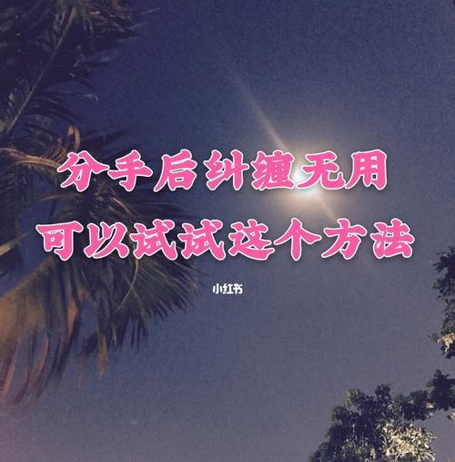 分手后如何用恰当的话语挽回爱情？有效沟通技巧是什么？-第3张图片-爱昵情感