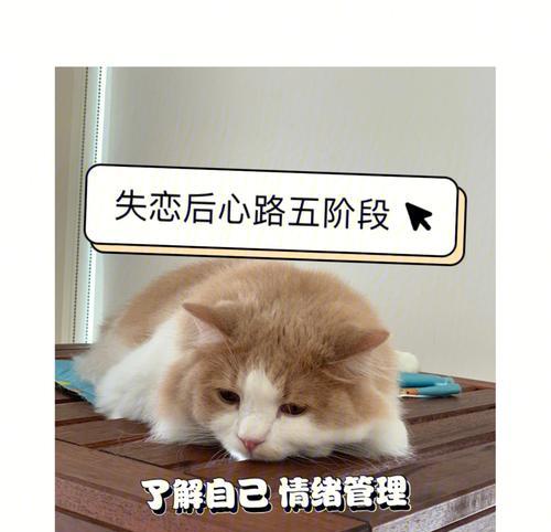分手后复合的5个心态原因是什么？如何处理这些复合心态？-第1张图片-爱昵情感