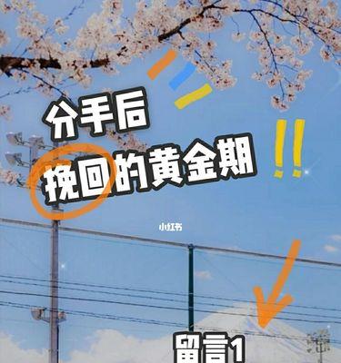 分手后挽回恋情的正确方法？失败后如何重新开始？-第3张图片-爱昵情感