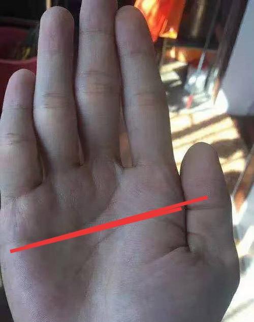 男人双手断掌纹好吗？断掌纹对性格和命运有何影响？-第3张图片-爱昵情感