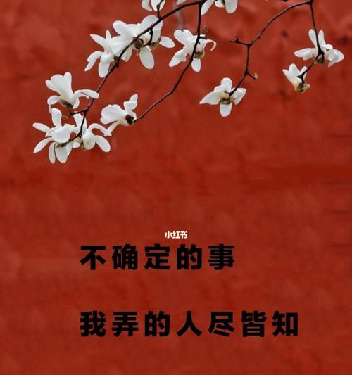 复合后关系潦草收场怎么办？如何避免潦草结束？-第3张图片-爱昵情感