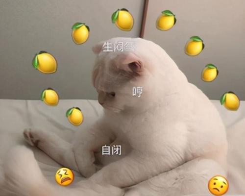 男友不带我进入社交圈说明什么？是否暗示关系问题？-第3张图片-爱昵情感
