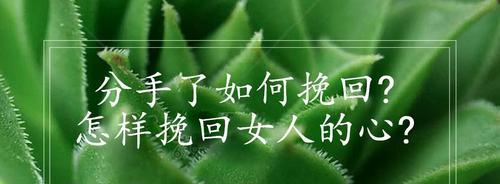 分手之后挽回感情的正确方法是什么？-第2张图片-爱昵情感