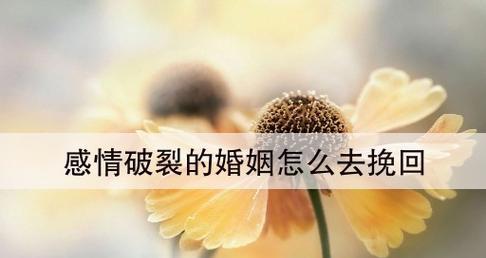 感情破裂后怎么挽回爱情？有效策略和步骤是什么？-第3张图片-爱昵情感