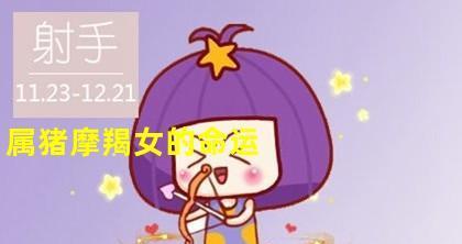 处女男挽回摩羯女的心方法是什么？如何修复感情裂痕？-第2张图片-爱昵情感