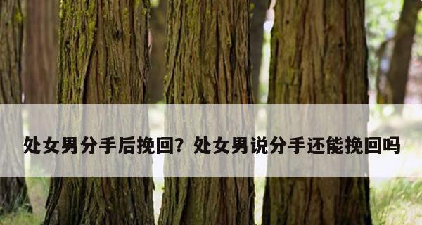 处女座女生分手后还能挽回吗？如何挽回处女座女生的心？-第3张图片-爱昵情感