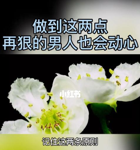 如何用挽回若即若离的句子？挽回感情的句子有哪些？-第3张图片-爱昵情感
