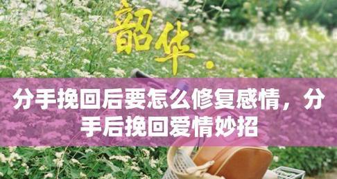 男生分手后想挽回怎么办？有效挽回前男友的方法有哪些？-第3张图片-爱昵情感