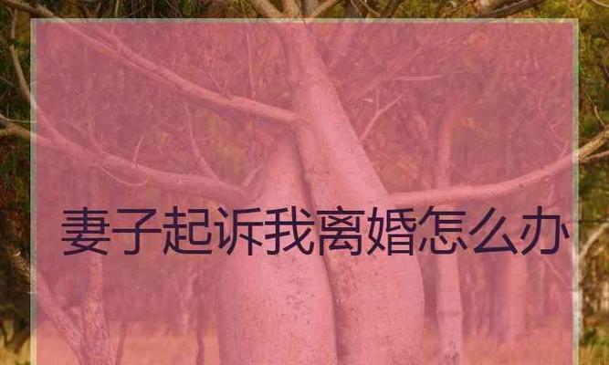 起诉离婚后挽回的可能性有多大？如何采取有效措施？-第2张图片-爱昵情感