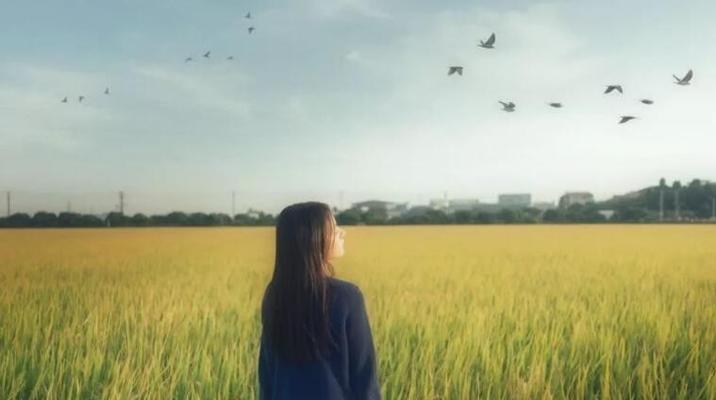 如何赢回被冷落的女生的心？有效沟通和行动策略是什么？-第1张图片-爱昵情感
