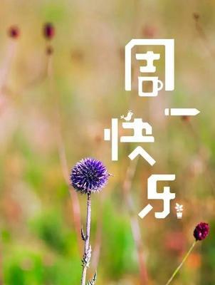 发给女朋友的早安问候语怎么写？有哪些创意表达方式？-第1张图片-爱昵情感