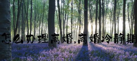 离婚一年后还能挽回婚姻吗？需要哪些步骤和注意事项？-第2张图片-爱昵情感