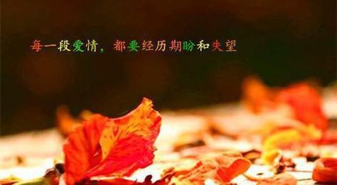 如何用句子表达挽回的心情？说说心情的句子有哪些？-第2张图片-爱昵情感